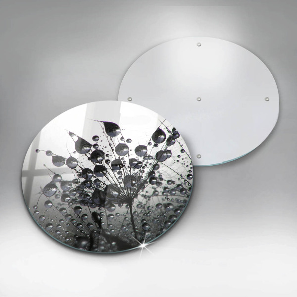 Glas Herdabdeckplatte Löwenzahn und Tau