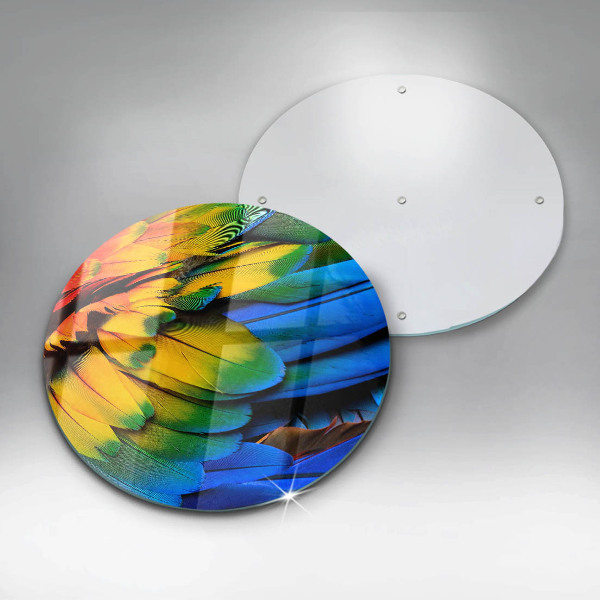 Glas Ceranfeldabdeckung Spritzschutz Bunte Papageienfedern