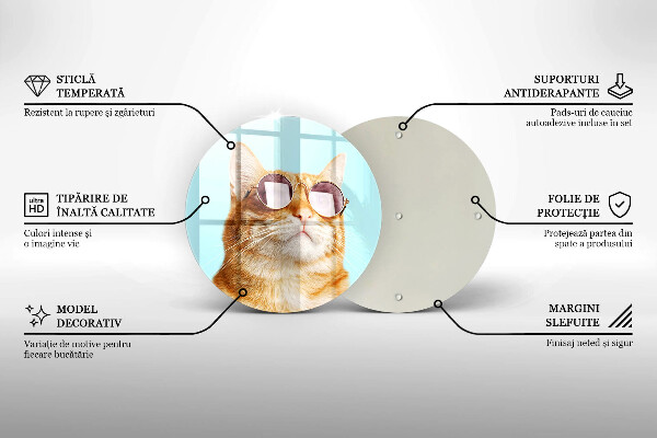 Glas Ceranfeldabdeckung Spritzschutz Rote Katze mit Brille