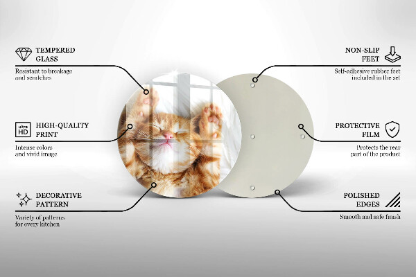 Glas Herdabdeckplatte Kleines süßes Kätzchen