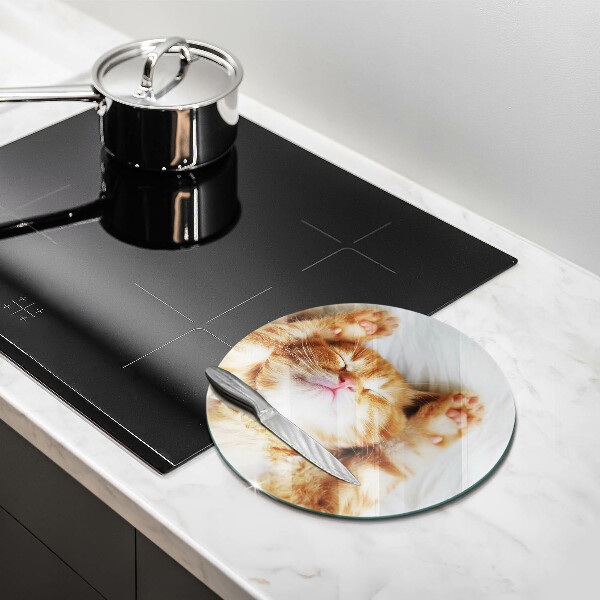 Glas Herdabdeckplatte Kleines süßes Kätzchen