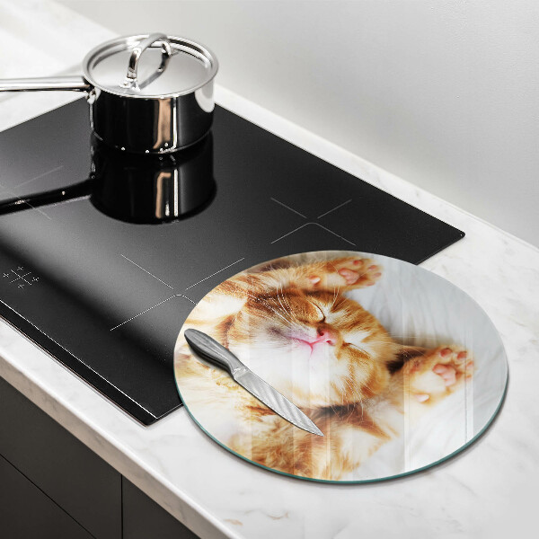 Glas Herdabdeckplatte Kleines süßes Kätzchen