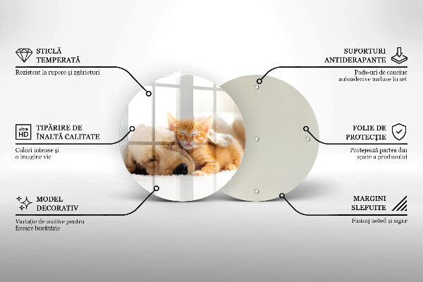 Glas Ceranfeldabdeckung Spritzschutz Tiere Hund und Katze
