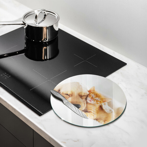 Glas Ceranfeldabdeckung Spritzschutz Tiere Hund und Katze