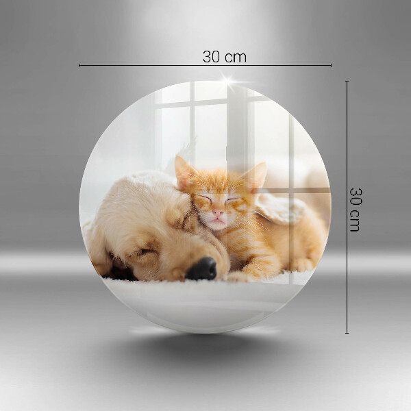 Glas Ceranfeldabdeckung Spritzschutz Tiere Hund und Katze