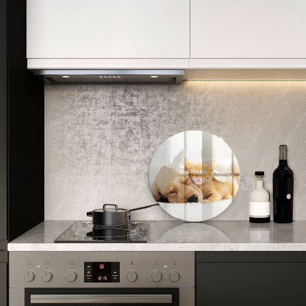 Glas Ceranfeldabdeckung Spritzschutz Tiere Hund und Katze