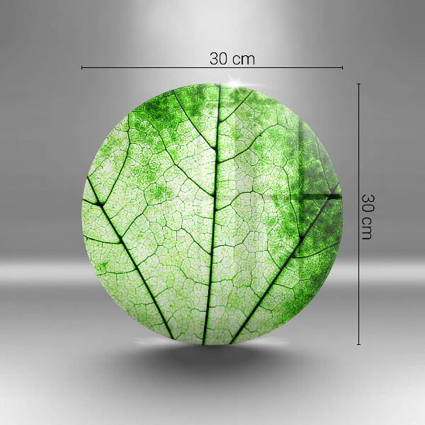 Glas Herdabdeckplatte Dekoratives Aderblatt