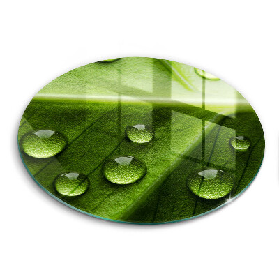 Glas Herdabdeckplatte Naturtau und Blatt