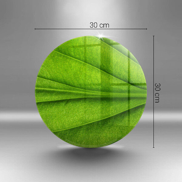 Glas Ceranfeldabdeckung Naturaderblatt