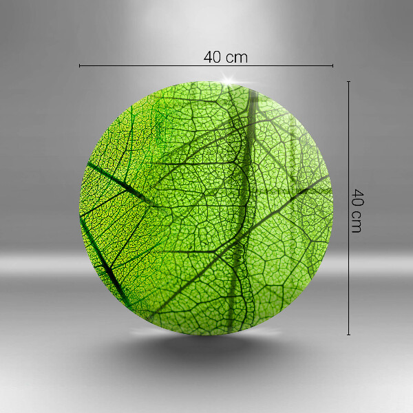 Glas Ceranfeldabdeckung Naturblattadern