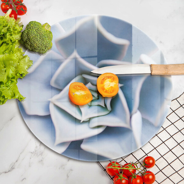 Glas Ceranfeldabdeckung Blumenpflanze