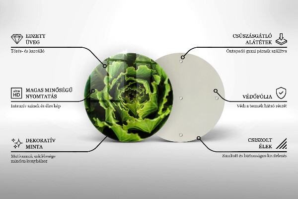 Glas Ceranfeldabdeckung Salatblätter essen