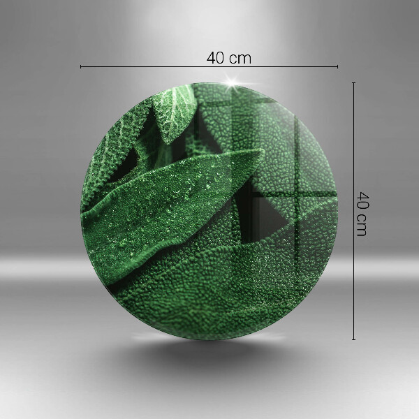 Glas Ceranfeldabdeckung Die Blätter der Pflanze