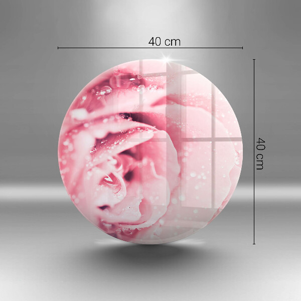 Glas Ceranfeldabdeckung Spritzschutz Tautropfen und Rosenblüte