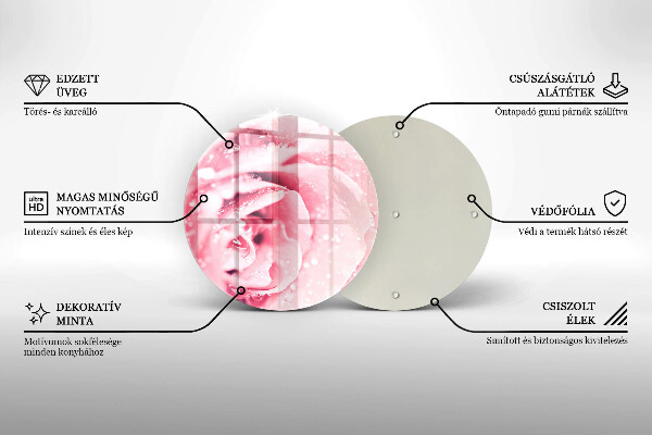 Glas Ceranfeldabdeckung Spritzschutz Tautropfen und Rosenblüte