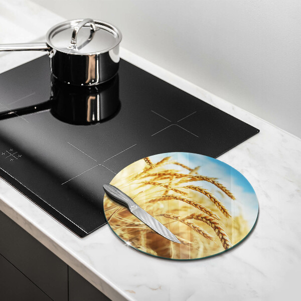 Glas Ceranfeldabdeckung Spritzschutz Getreideähren auf dem Feld