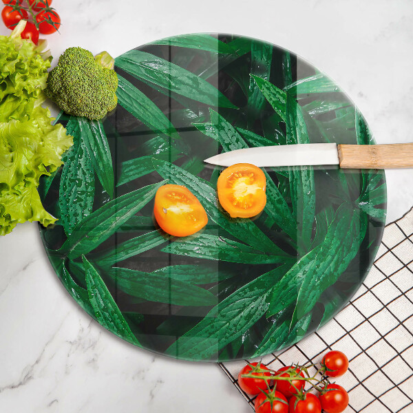 Glas Herdabdeckplatte Pflanzenblätter