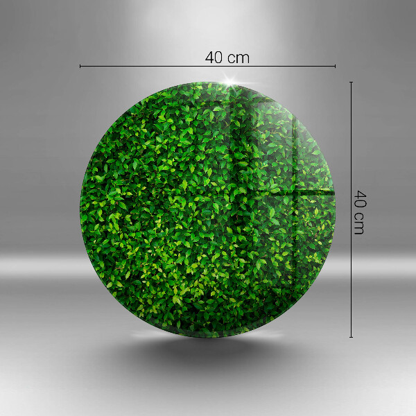 Glas Ceranfeldabdeckung Spritzschutz Pflanze mit kleinen Blättern