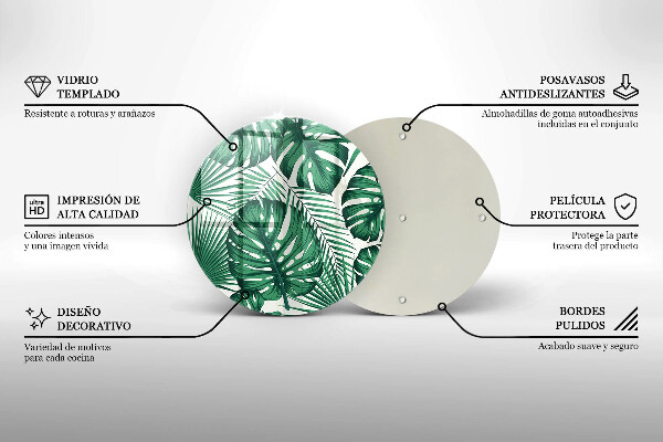 Glas Ceranfeldabdeckung Spritzschutz Monstera geht