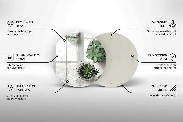 Glas Ceranfeldabdeckung Spritzschutz Sukkulenten auf Beton