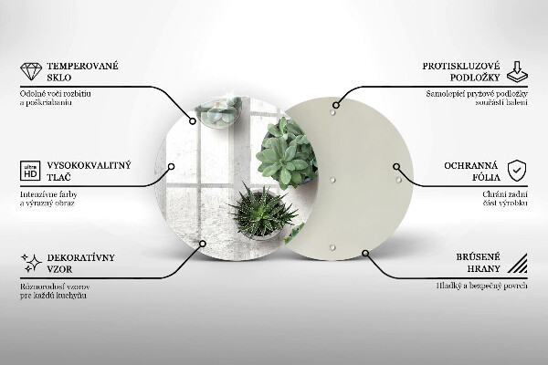 Glas Ceranfeldabdeckung Spritzschutz Sukkulenten auf Beton