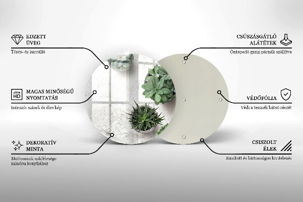Glas Ceranfeldabdeckung Spritzschutz Sukkulenten auf Beton