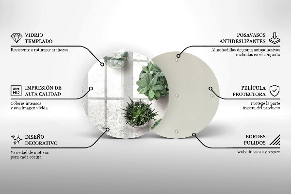 Glas Ceranfeldabdeckung Spritzschutz Sukkulenten auf Beton