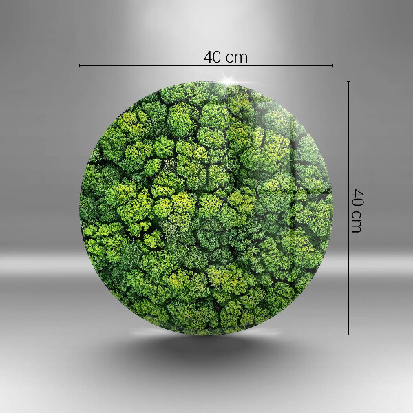 Glas Ceranfeldabdeckung Spritzschutz Naturmoospflanze