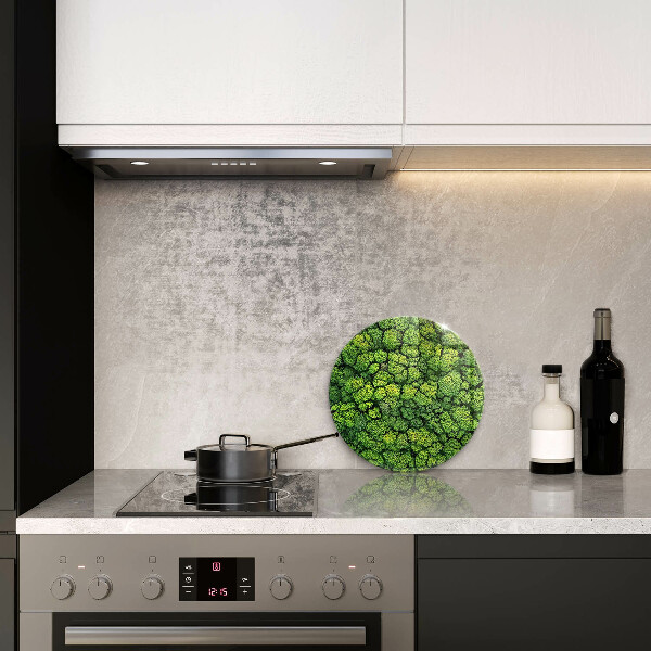 Glas Ceranfeldabdeckung Spritzschutz Naturmoospflanze