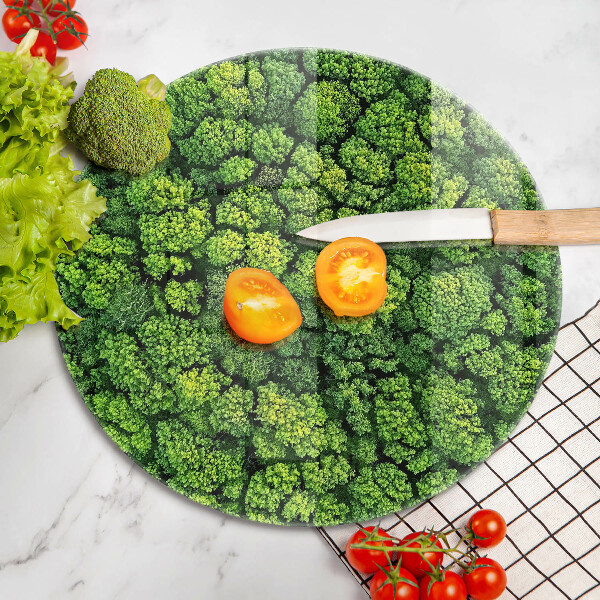 Glas Ceranfeldabdeckung Spritzschutz Naturmoospflanze