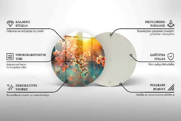 Glas Ceranfeldabdeckung Apfelblüten in der Sonne