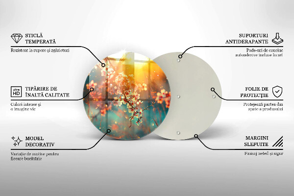 Glas Ceranfeldabdeckung Apfelblüten in der Sonne