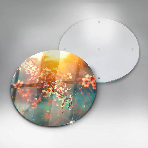 Glas Ceranfeldabdeckung Apfelblüten in der Sonne