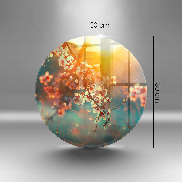 Glas Ceranfeldabdeckung Apfelblüten in der Sonne