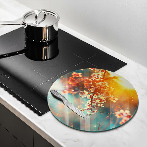 Glas Ceranfeldabdeckung Apfelblüten in der Sonne