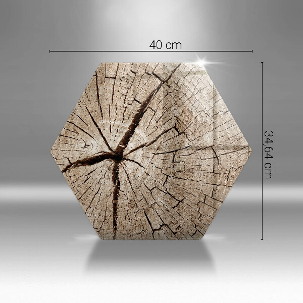 Glas Herdabdeckplatte Querschnitt eines Baumes