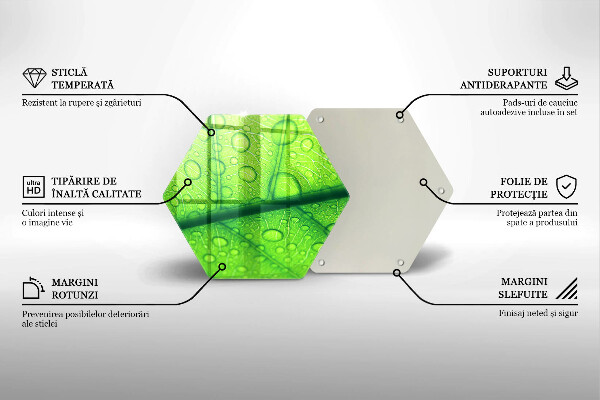 Glas Ceranfeldabdeckung Spritzschutz Nahaufnahme eines Blattes