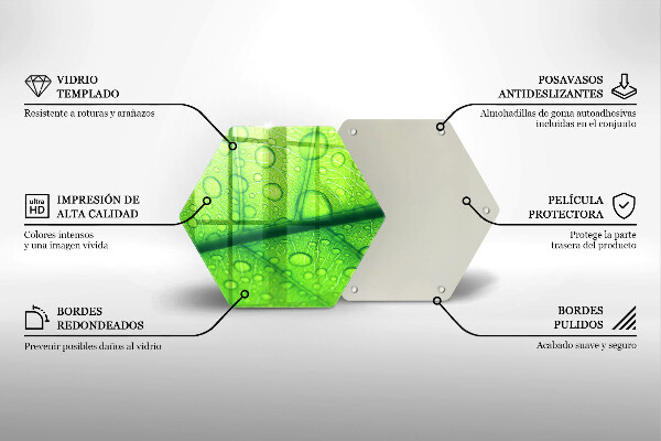 Glas Ceranfeldabdeckung Spritzschutz Nahaufnahme eines Blattes