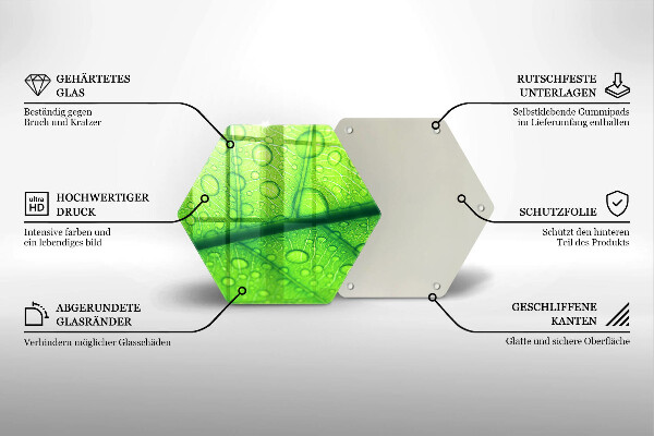 Glas Ceranfeldabdeckung Spritzschutz Nahaufnahme eines Blattes