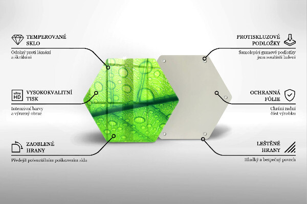 Glas Ceranfeldabdeckung Spritzschutz Nahaufnahme eines Blattes
