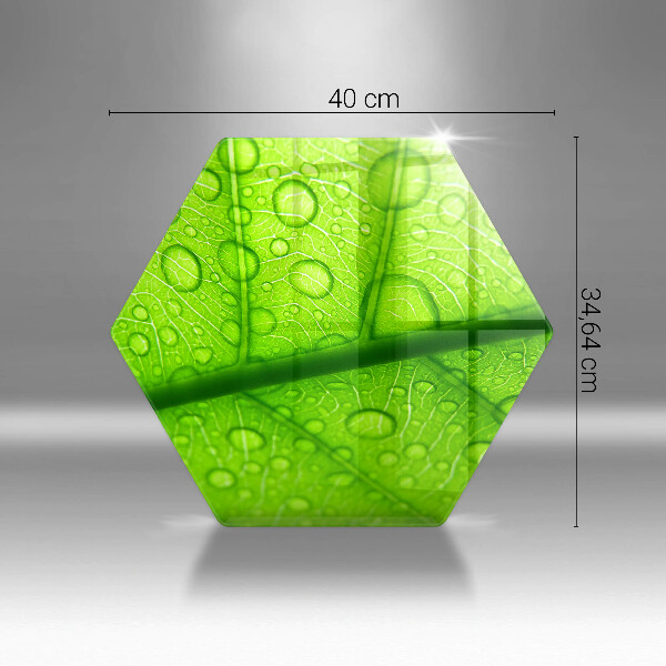 Glas Ceranfeldabdeckung Spritzschutz Nahaufnahme eines Blattes