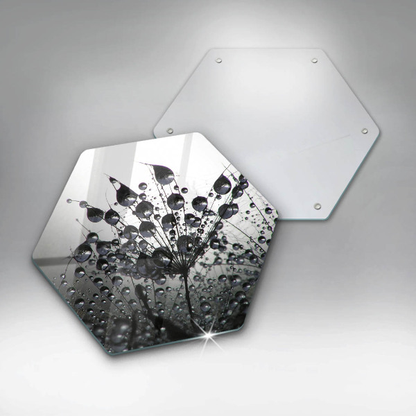 Glas Herdabdeckplatte Löwenzahn und Tau