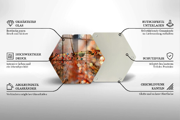 Glas Herdabdeckplatte Nasser Löwenzahn
