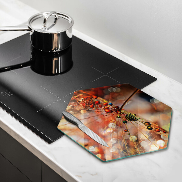 Glas Herdabdeckplatte Nasser Löwenzahn