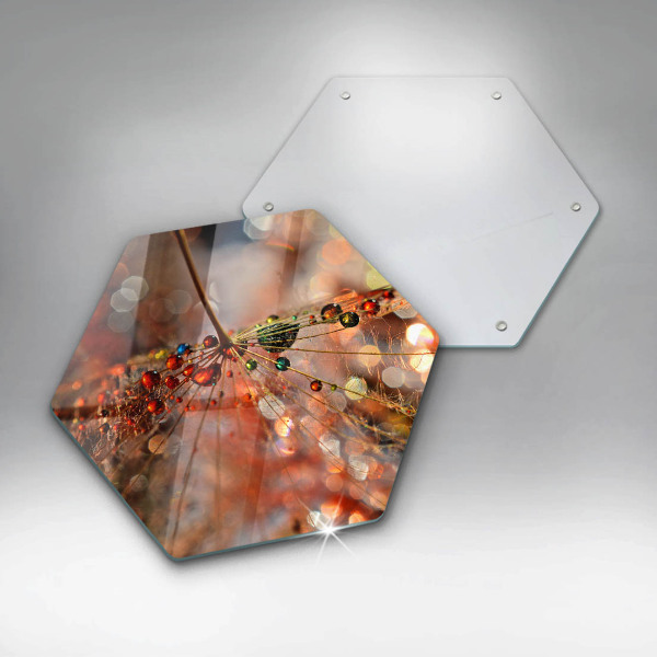 Glas Herdabdeckplatte Nasser Löwenzahn