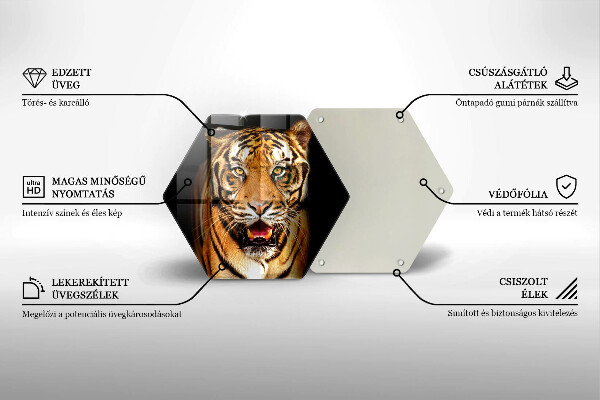 Glas Ceranfeldabdeckung Wildtiertiger