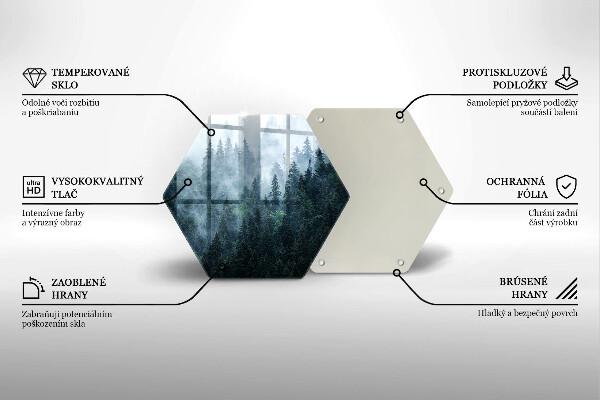 Glas Ceranfeldabdeckung Waldbäume und Nebel