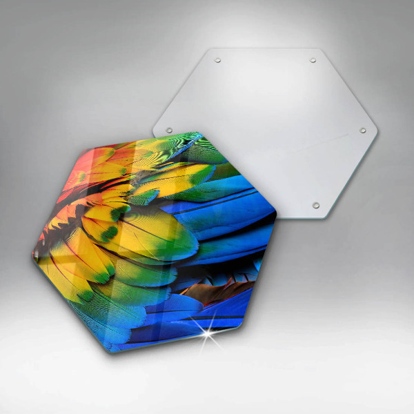 Glas Ceranfeldabdeckung Bunte Papageienfedern