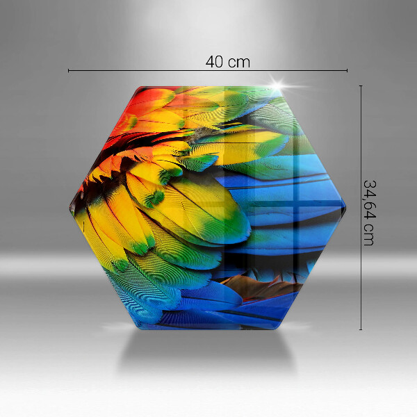Glas Ceranfeldabdeckung Bunte Papageienfedern