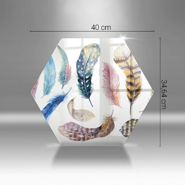 Glas Herdabdeckplatte Bunte Vogelfedern